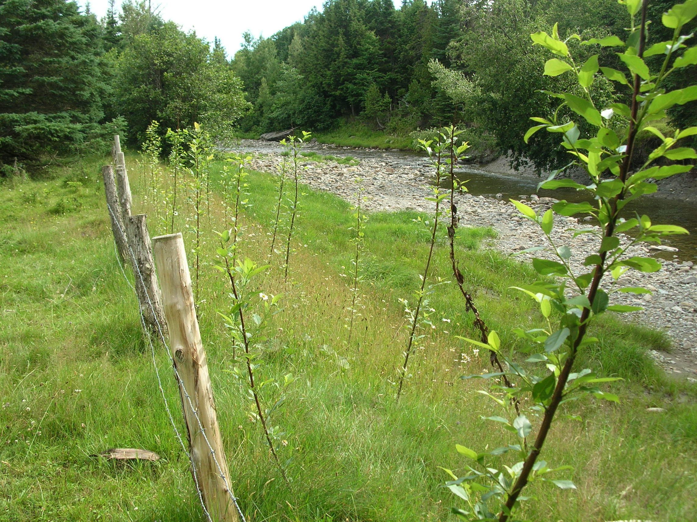 2007-08-08 294